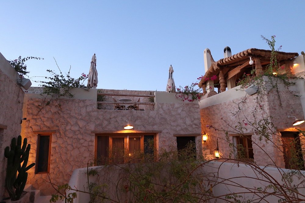 Pure House Marrakech
