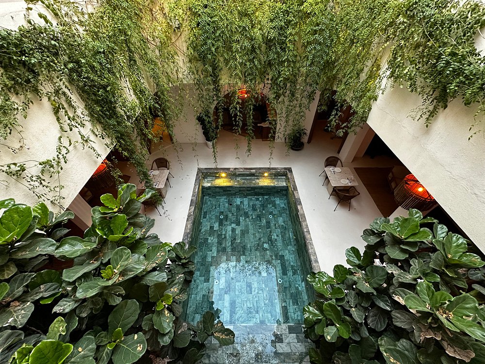 Pure House Marrakech | Luxury Boutique Riad & Hotel